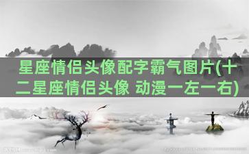 星座情侣头像配字霸气图片(十二星座情侣头像 动漫一左一右)